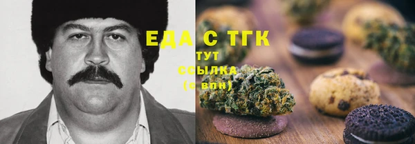 стаф Инта