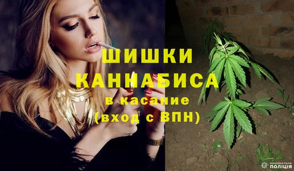 стаф Инта