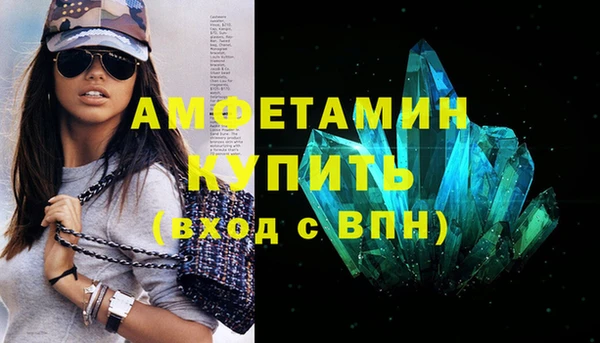 стаф Инта
