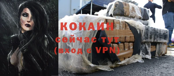 стаф Инта