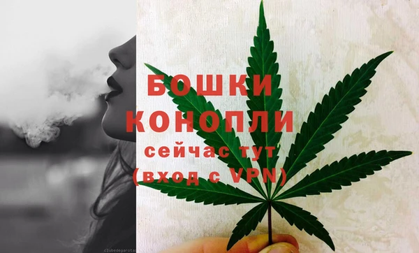 стаф Инта