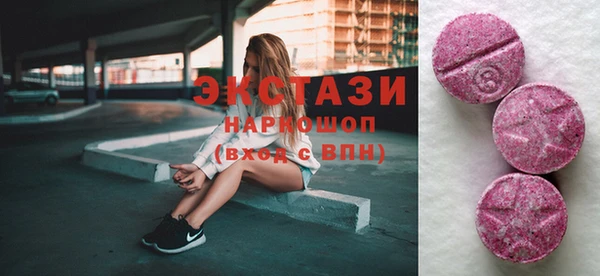 стаф Инта