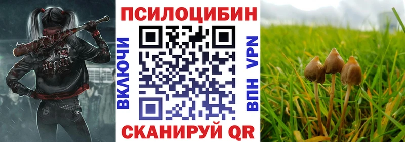 Галлюциногенные грибы Magic Shrooms  Купить  Ревда 